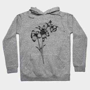 Hellebore linedrawing Hoodie